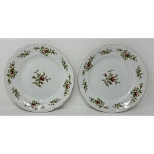 Johann Haviland Traditions Moss Rose Fine China‎ Dinner Plate 10" Set of 2